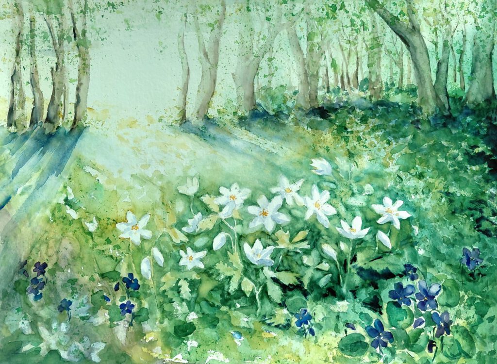 Bosanemonen Aquarel 50 x 40 € 85,00