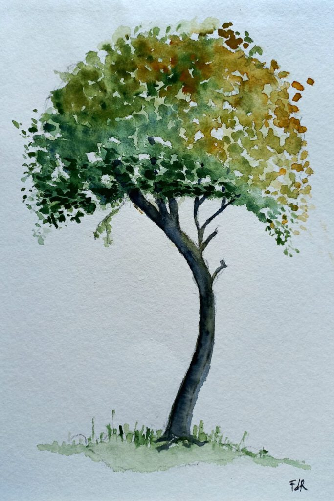 Boompje Aquarel 30x40 € 45,00