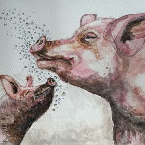 Sam het Varken -Aquarel 42x33cm €40,00